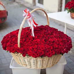 Композиция из 501 красной с темной каймой розы Магия (Россия) в корзине
