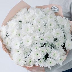 Букет из 15 белых кустовых хризантем в кремовой пленке