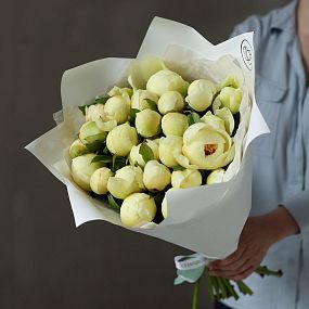 Букет из 25 лимонных пионов Lemon Chiffon Premium в белой пленке