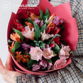 Букет из 9 альстромерий микс в бордовой пленке