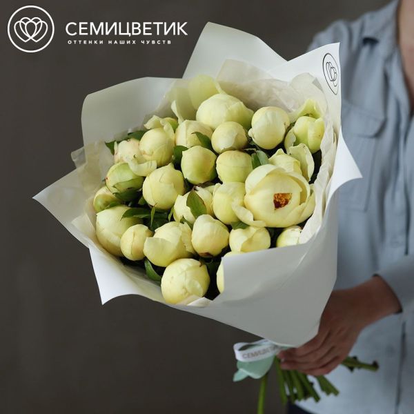 Букет из 25 лимонных пионов Lemon Chiffon Premium в белой пленке