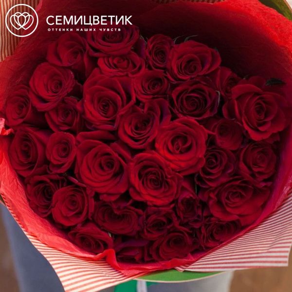 Букет из 35 красных с темной каймой роз Магия 40 см (Россия)