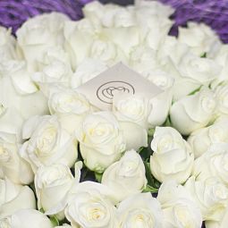 Букет из 29 белых роз Vendela 50 см (Эквадор)