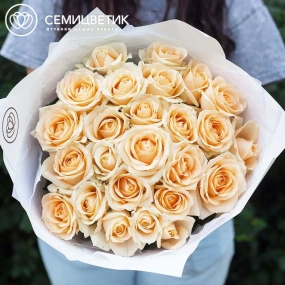 Букет из 25 кремовых роз 60 см (Россия) в кремовой пленке