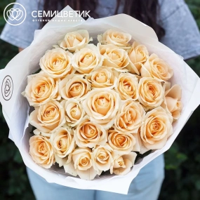 Букет из 25 кремовых роз 60 см (Россия) в кремовой пленке