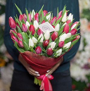 Букет из 51 красный и белый тюльпан