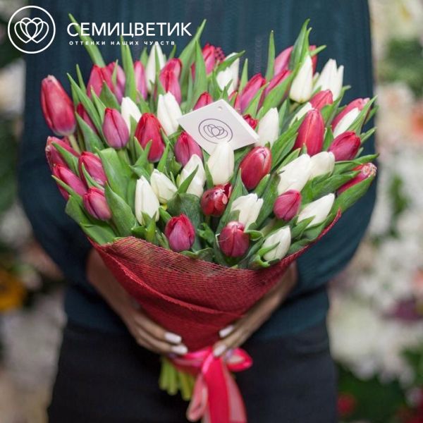 Букет из 51 красный и белый тюльпан 40 см