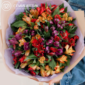 Букет из 23 альстромерий яркий микс в кремовой пленке