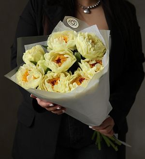 Букет из 9 лимонных пионов Lemon Chiffon Premium