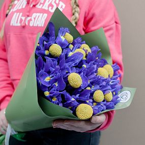 Букет из 25 синих ирисов и 10 краспедий