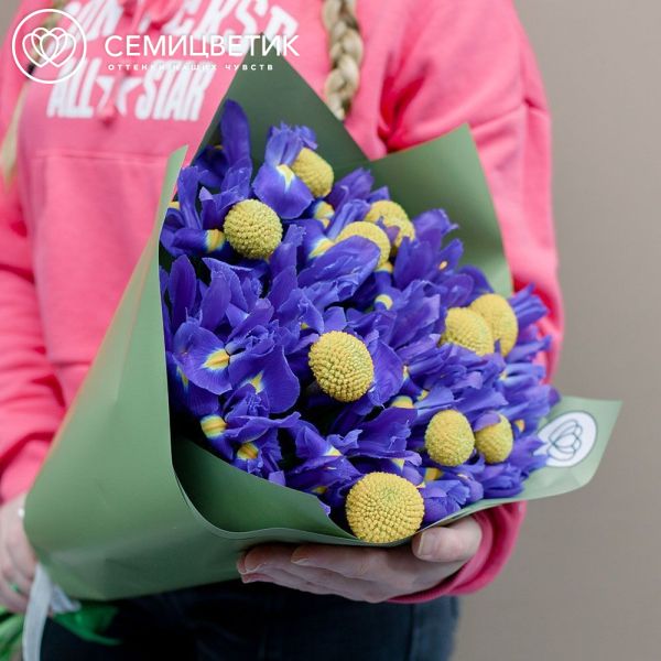 Букет из 25 синих ирисов и 10 краспедий