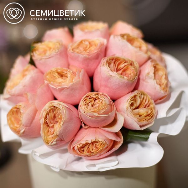 Букет в белой шляпной коробке Amour Mini из 25 пионовидных роз Vuvuzela