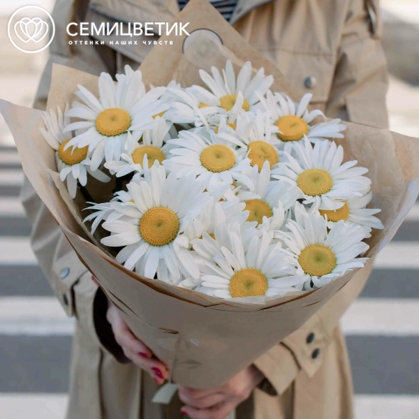 Букет из 25 одноголовых ромашек в упаковке