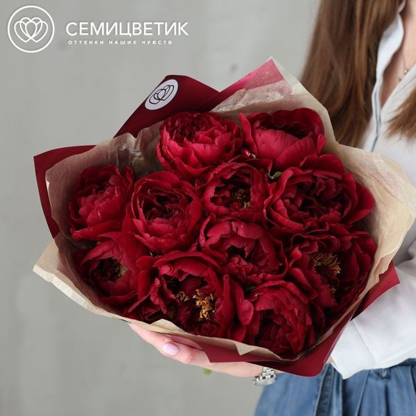 Букет из 11 бордовых пионов Old Faithful Premium в бордовой упаковке