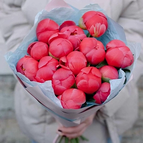 Букет из 15 коралловых пионов Coral Sunset Premium в розовой пленке