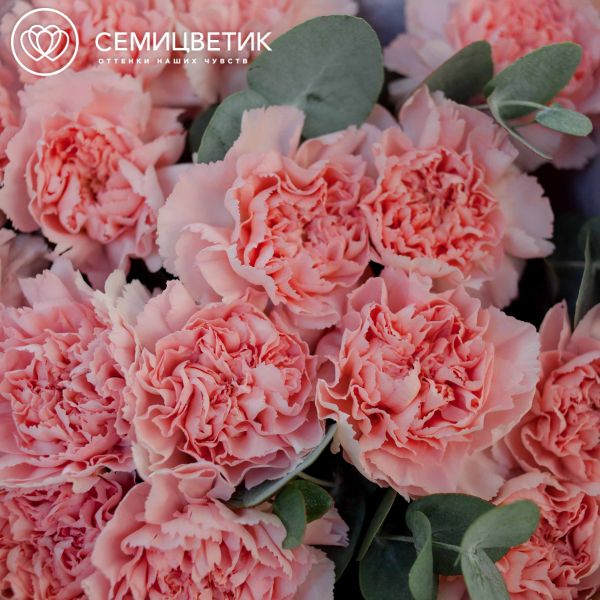 Букет из 15 розовых гвоздик с эвкалиптом