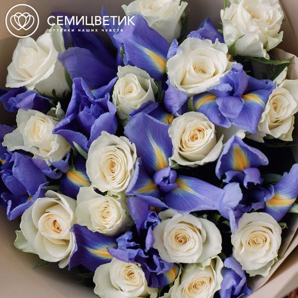 Букет из 10 белых роз 30 см (Кения) и 15 синих ирисов