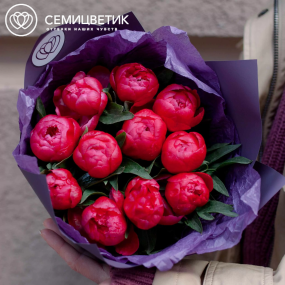 Букет из 11 коралловых пионов Coral Sunset Standart в сиреневой пленке