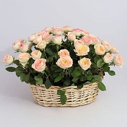 Композиция из 51 персиковой пионовидной розы Flash Back в корзине