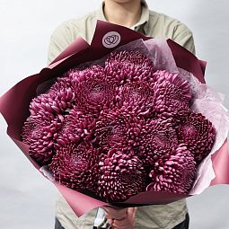 Букет из 15 одноголовых фиолетовых хризантем в бордовой пленке