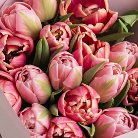 Букет из 15 розовых и нежно-розовых пионовидных тюльпанов