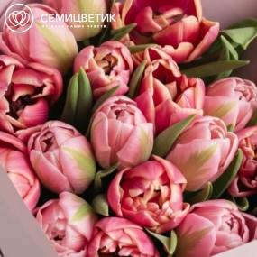 Букет из 15 розовых и нежно-розовых пионовидных тюльпанов