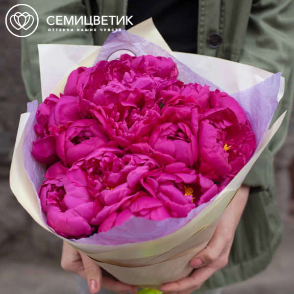 Букет из 15 малиновых пионов Standart Plus в кремовой пленке