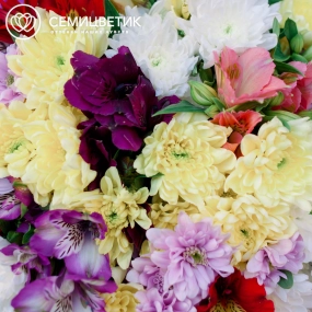 Букет из 15 кустовых хризантем и 10 альстромерий микс в сиреневой пленке