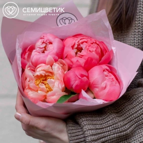Букет из 5 коралловых пионов Coral Sunset Premium в розовой пленке