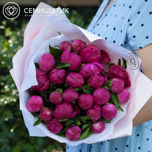 Букет из 25 малиновых пионов Standart Plus