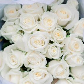 Букет из 25 белых роз 40 см (Россия) в голубой пленке