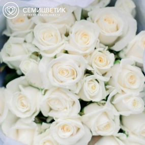 Букет из 25 белых роз 40 см (Россия) в голубой пленке