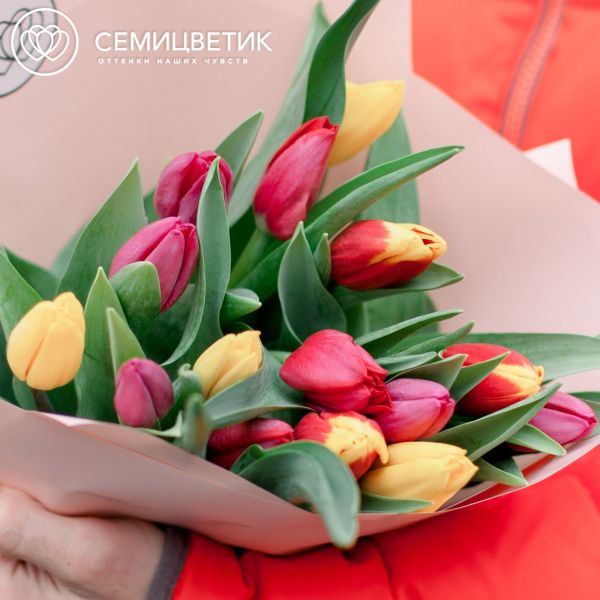Букет из 15 тюльпанов микс в кремовой пленке