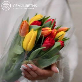 Букет из 11 тюльпанов микс 40 см в пленке