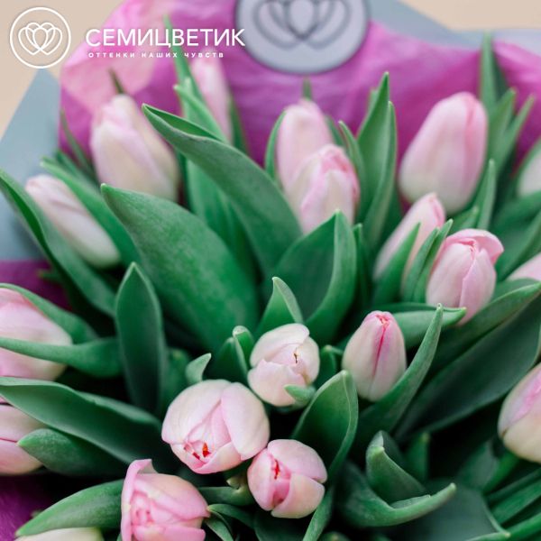 Букет из 25 нежно-розовых тюльпанов