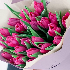 Букет из 25 малиновых тюльпанов в сиреневой пленке