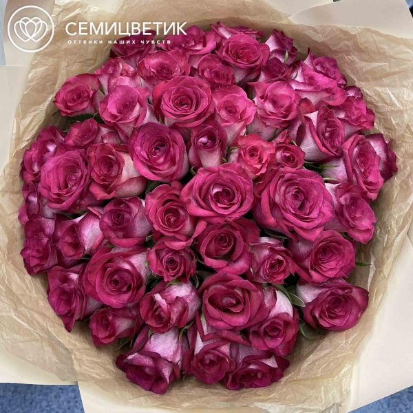 Букет из 51 розовой розы биколор 40 см (Кения)