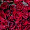 Букет из 51 красной с темной каймой розы (Россия) 50 см