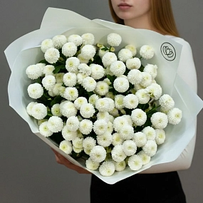 Букет из 11 белых кустовых хризантем Newton