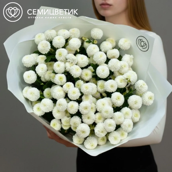 Букет из 11 белых кустовых хризантем Newton