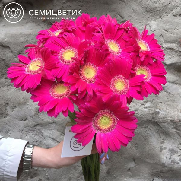 Букет из 15 гербер мини