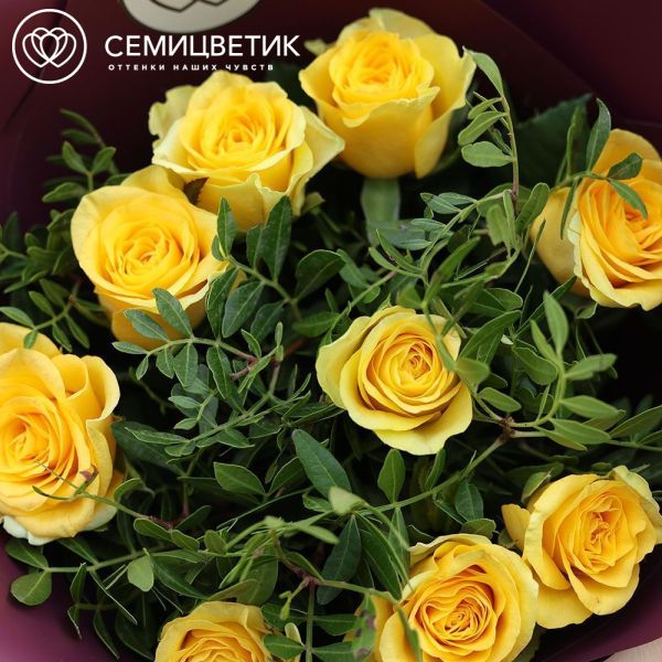 Букет из 9 желтых роз 35-40 см (Россия) с фисташкой в бордовой упаковке