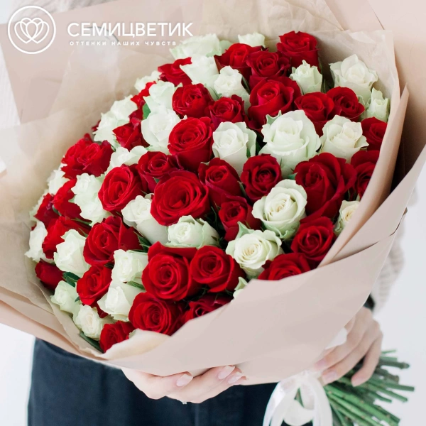 Букет из 75 красных и белых роз 35-40 см (Кения) в кремовой пленке