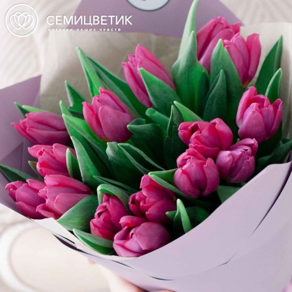 Букет из 15 малиновых тюльпанов