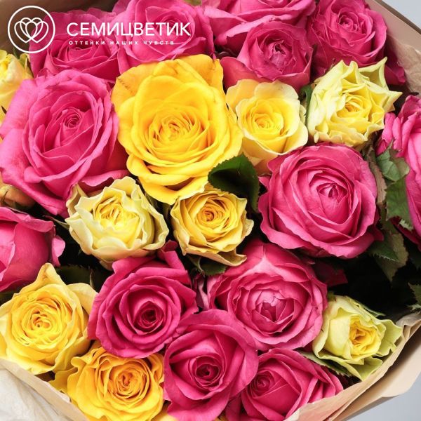 Букет из 25 желтых и малиновых роз 35-40 см (Россия)