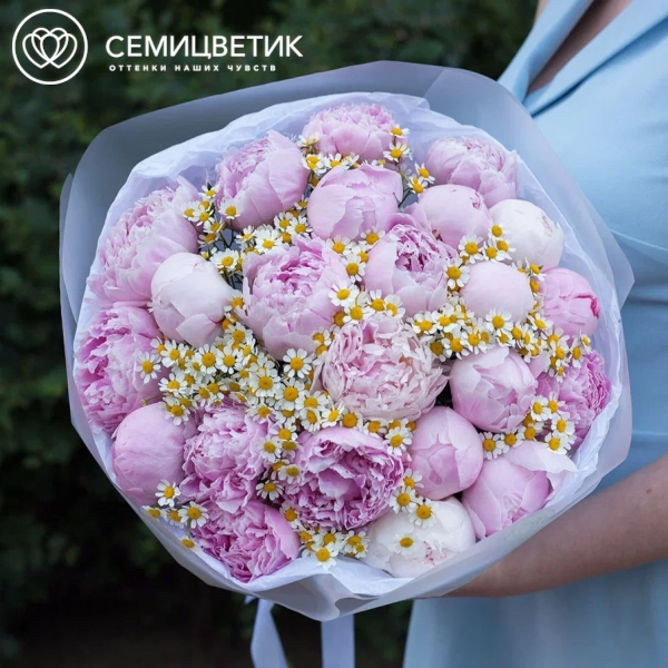 Букет из розовых пионов Premium и матрикарии в прозрачной пленке