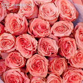 Букет из 25 кораллово-розовых пионовидных роз Wild Love 40 см (Эквадор)