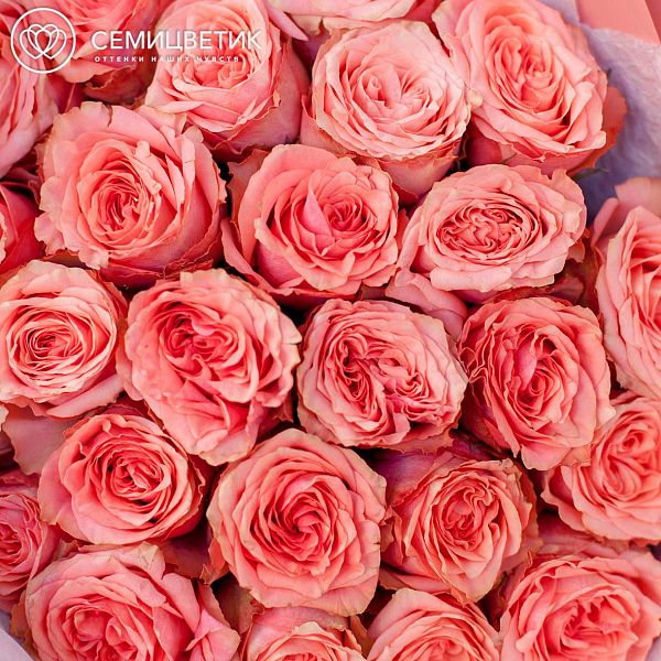 Букет из 25 кораллово-розовых пионовидных роз Wild Love 40 см (Эквадор)