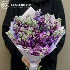 Букет из 25 махровых маттиол микс в сиреневой пленке