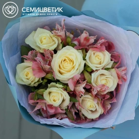 Букет из 7 белых роз 35-40 см (Россия) и 4 розовых альстромерий в голубой пленке